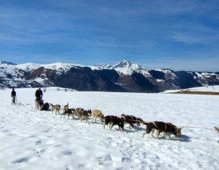 balade découverte de la montagne en chiens de traineaux